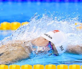 全面解析：Bsport手机版