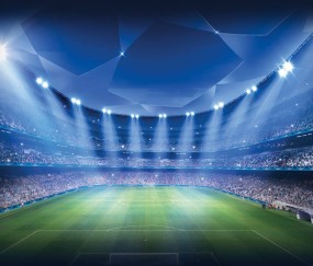 使用Bsport手机版是一种怎样的体验